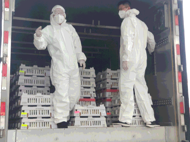 微信图片_20200910144649.gif