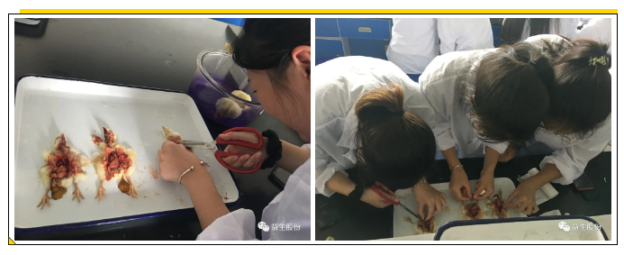 1601365428(1).png
