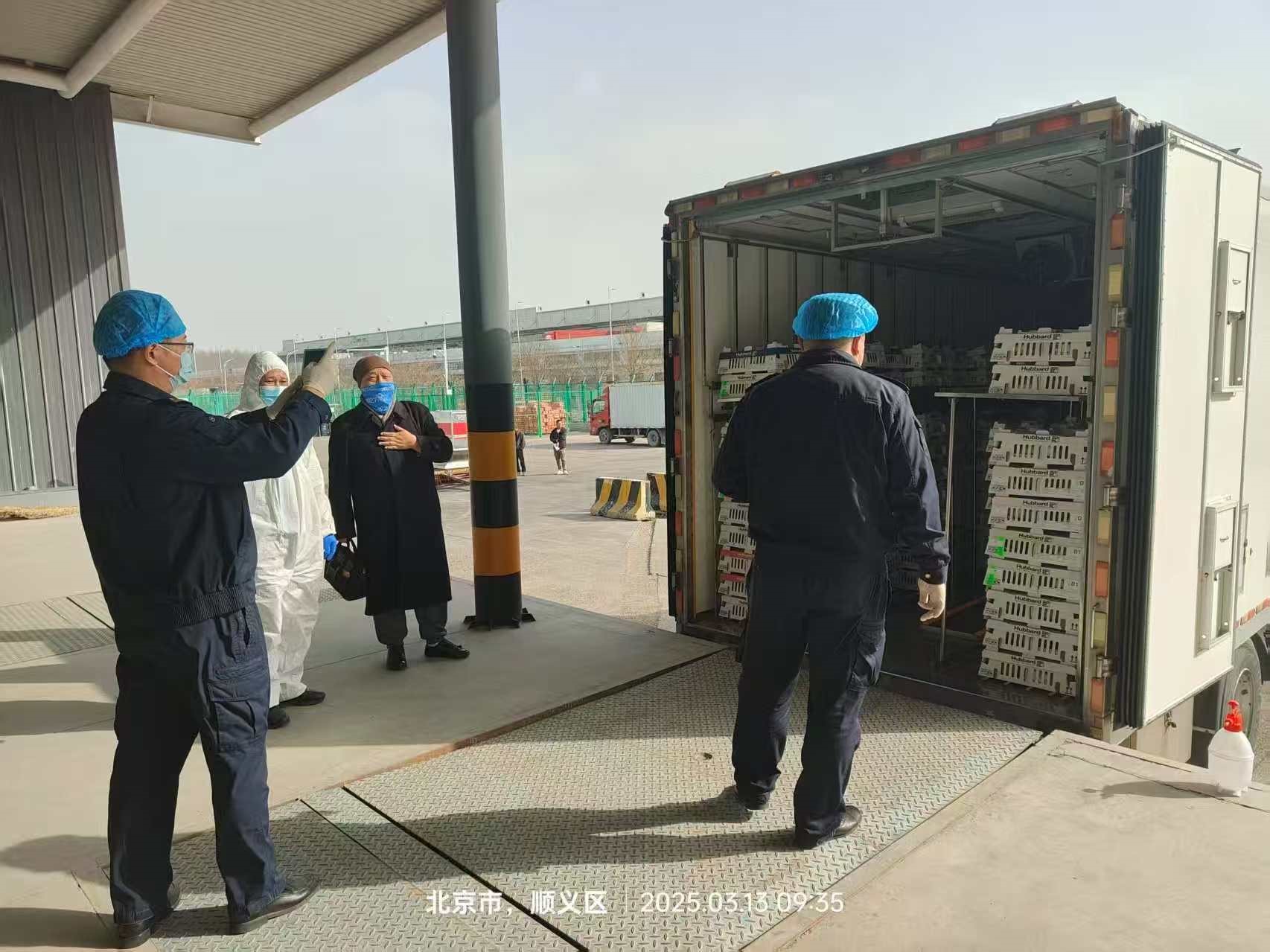 【引种】喜讯！南宫NG28股份从法国引进的第二批祖代白羽肉种鸡尘埃落定