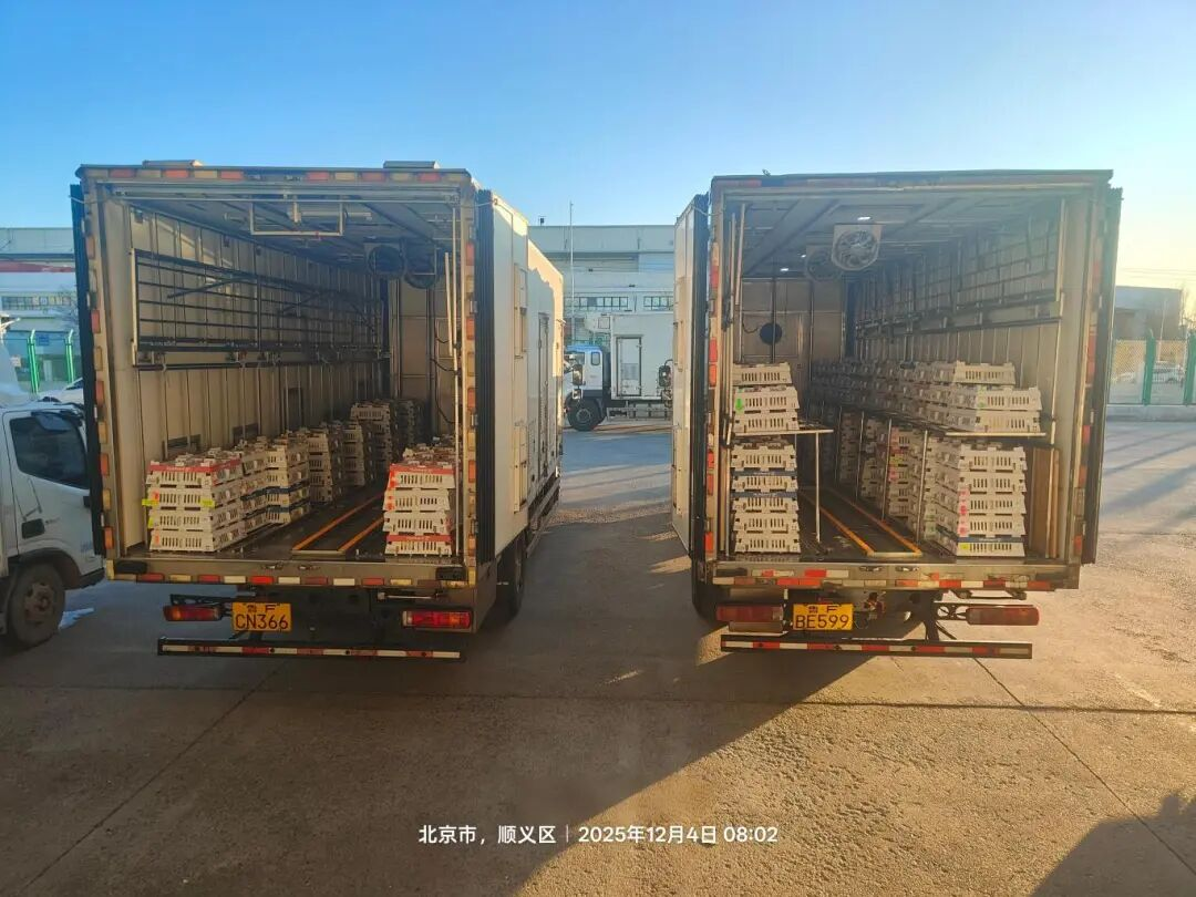 [引种】南宫NG28股份再度引进法国种源，龙头职位坚韧保险产业不变